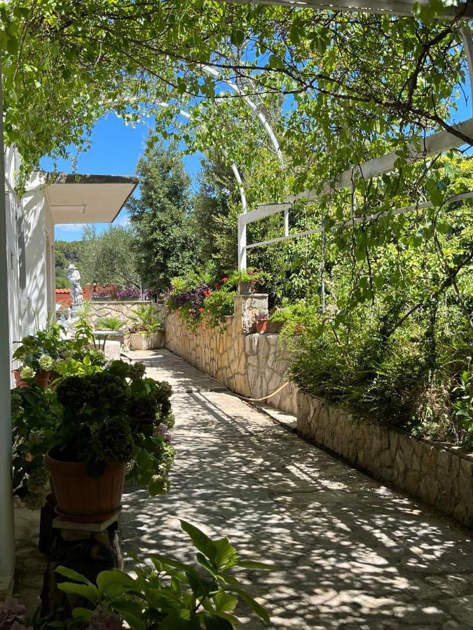 Apartment With Swimming Pool Jelsa  Exterior photo