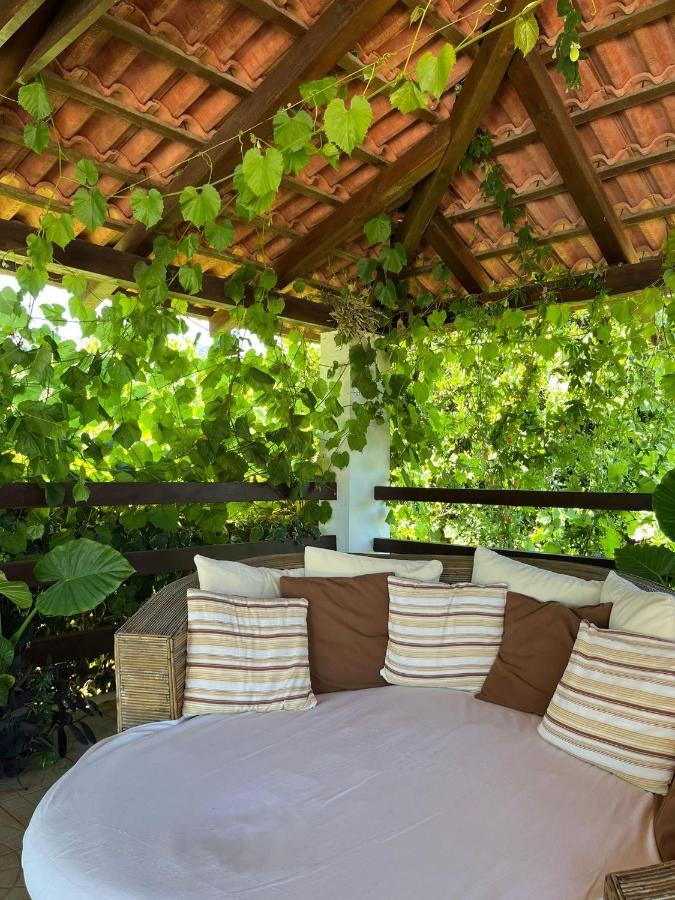 Apartment With Swimming Pool Jelsa  Exterior photo