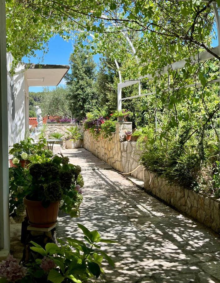 Apartment With Swimming Pool Jelsa  Exterior photo